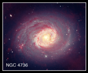 NGC 4736 (also known as Messier 94) is a spiral galaxy that is unusual because it has two ring structures. This galaxy is classified as containing a “low ionization nuclear emission region,” or LINER, in its center, which produces radiation from specific elements such as oxygen and nitrogen. Chandra observations (gold) of NGC 4736, seen in this composite image with infrared data from Spitzer (red) and optical data from Hubble and the Sloan Digital Sky Survey (blue), suggest that the X-ray emission comes from a recent burst of star formation. Part of the evidence comes from the large number of point sources near the center of the galaxy, showing that strong star formation has occurred. In other galaxies, evidence points to supermassive black holes being responsible for LINER properties. Chandra’s result on NGC 4736 shows LINERs may represent more than one physical phenomenon. (X-ray: NASA/CXC/Universita di Bologna/S.Pellegrini et al, IR: NASA/JPL-Caltech; Optical: SDSS & NASA/STScI)